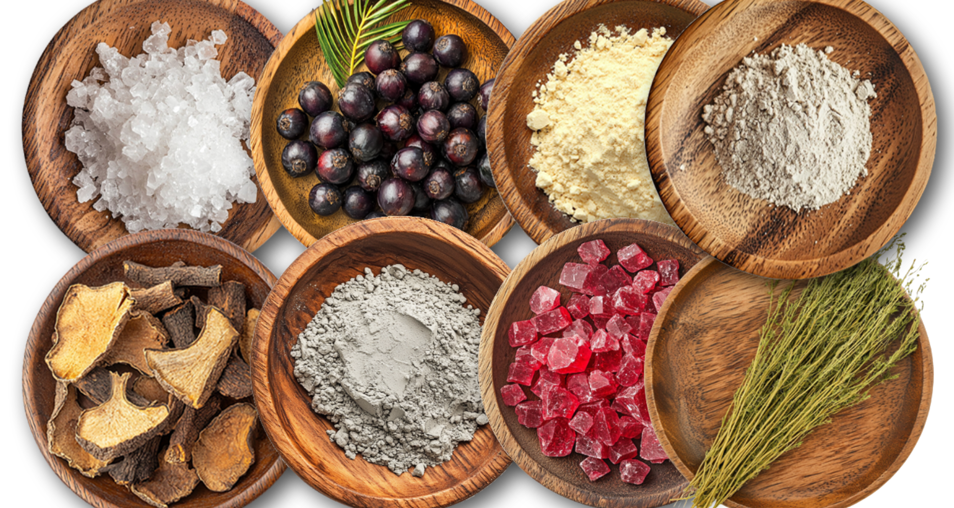 7 רכיבי מפתח שחשוב להכיר לשיער בריא ומטופח: המדריך המקיף 🌿