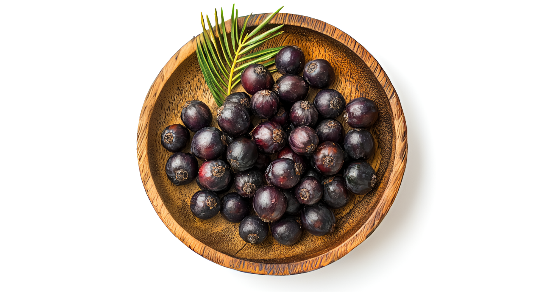 Saw Palmetto: הצמח העתיק שמשנה את עולם טיפוח השיער 🌴
