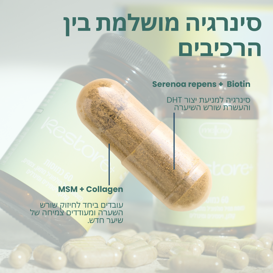 +Restore - לנשירה וחיזוק השיער לגבר